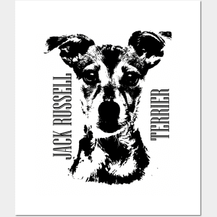 Jack Russell Terrier Posters and Art